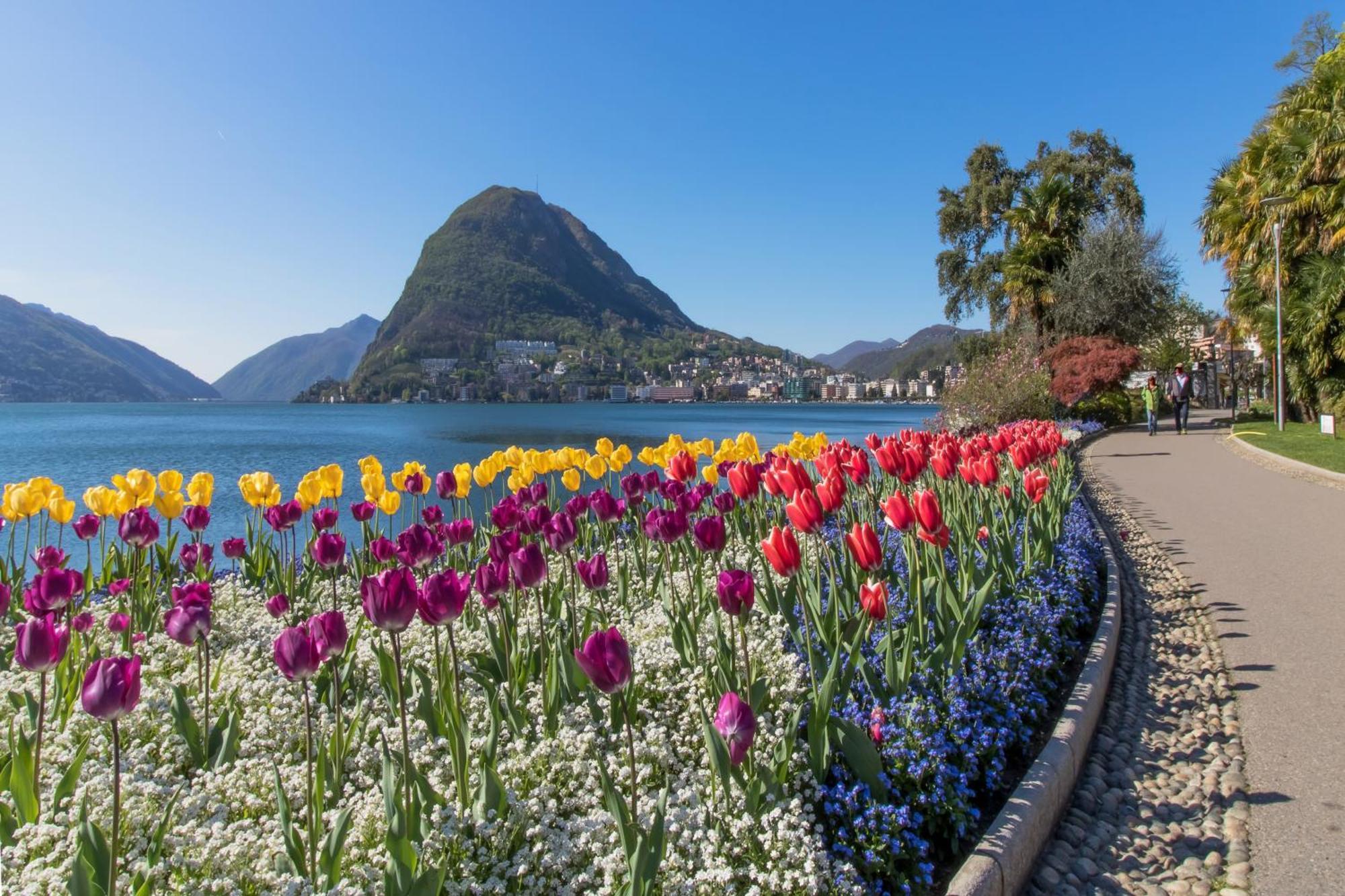 Love Of Lugano Dış mekan fotoğraf